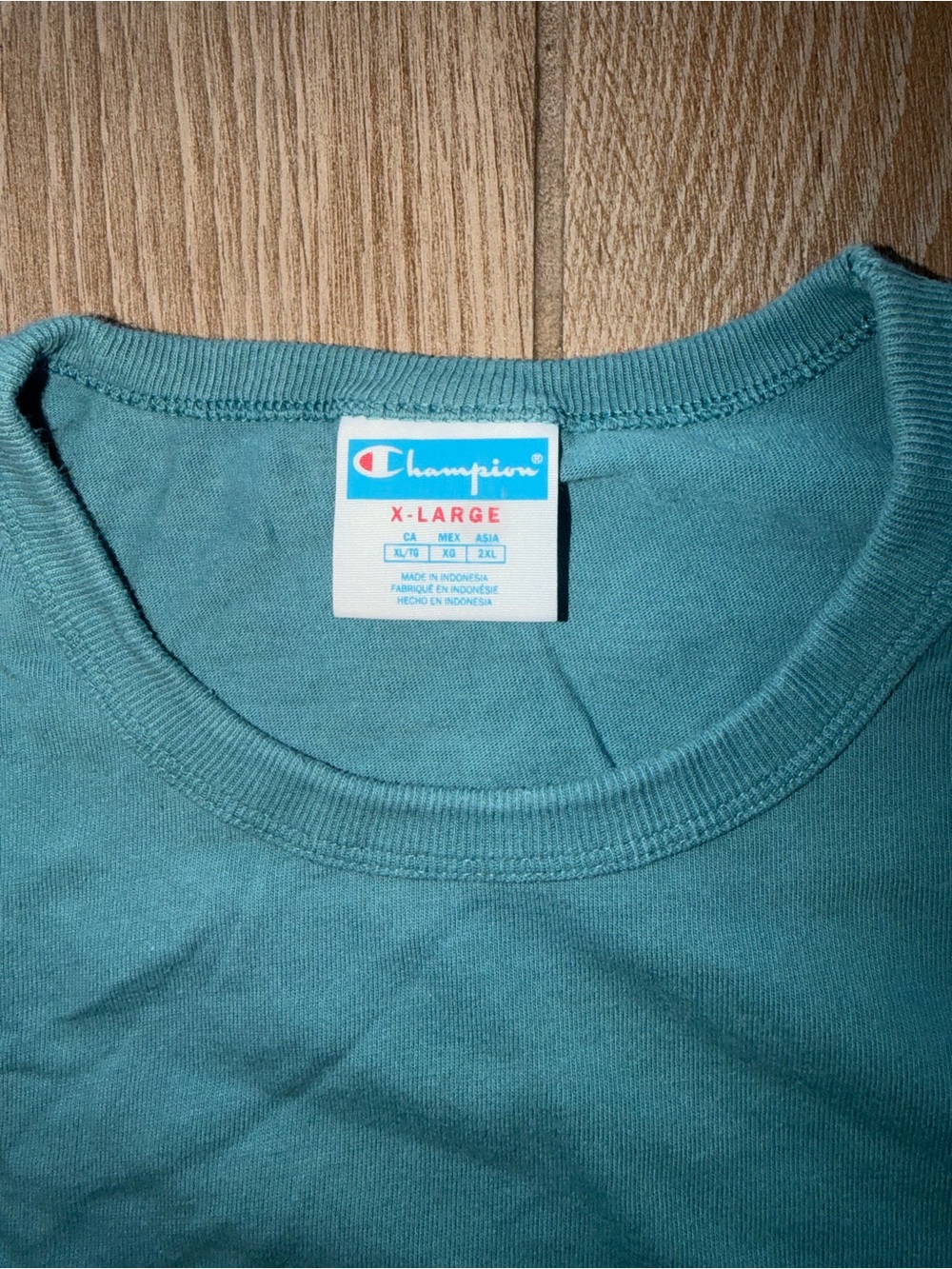 Champion Kids' Teal Crewneck Tee with Logo Tag